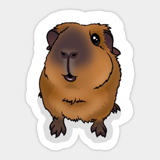 Gold California Guinea Pig Sticker